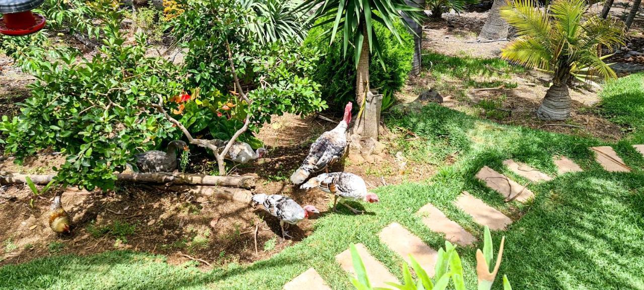 Casa Los Polveros Fuencaliente de la Palma Zewnętrze zdjęcie